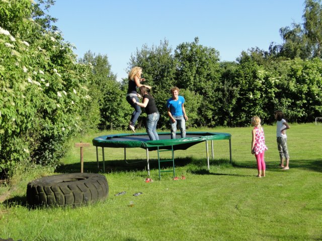 2011HWK 009.jpg
